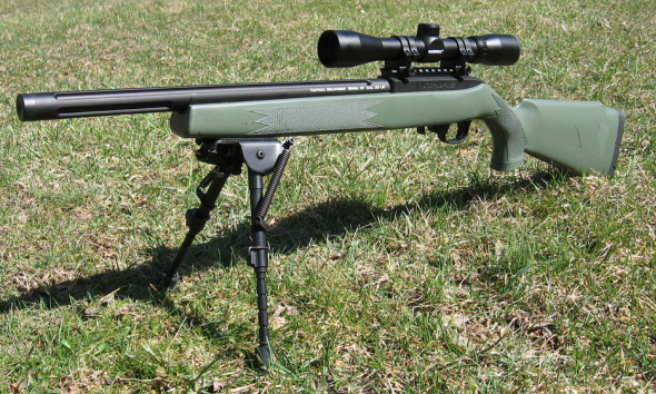 Where can you buy a silencer for a Ruger 10/22 rifle?